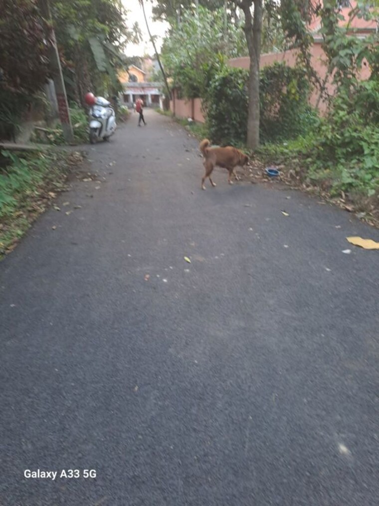 undefined, malancha bazar  3960 Sq.Ft. Plot In Malancha Bazar Kolkata 10172727