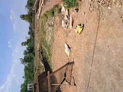 Plot For Sale in Sgpgi