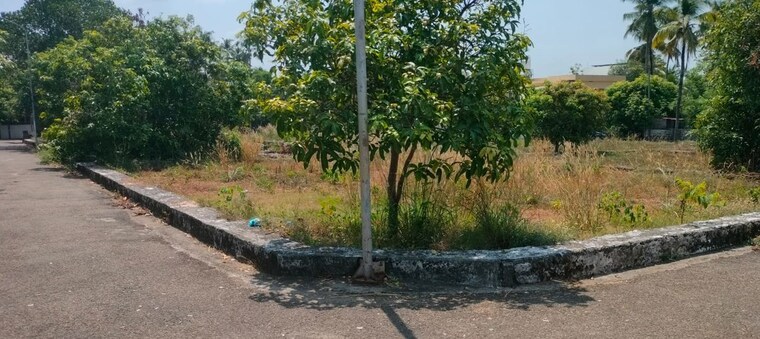undefined, thalore  2613 Sq.Ft. Plot In Thalore Thrissur 10178827