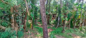  Plot – Garden View at Pamboor - for Sale
