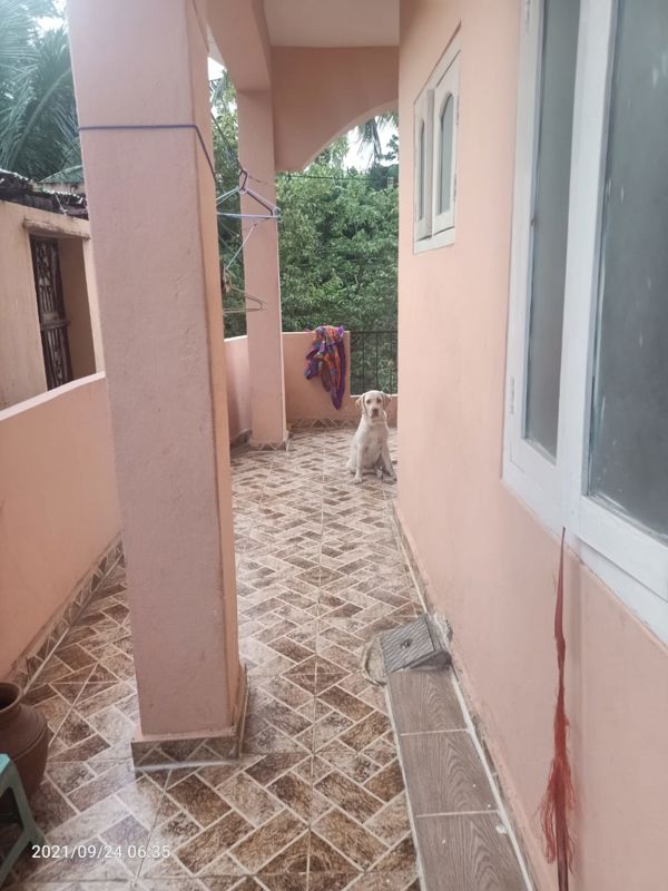 2 BHK 1905 Sq.Ft. Apartment in Alekhya Rise