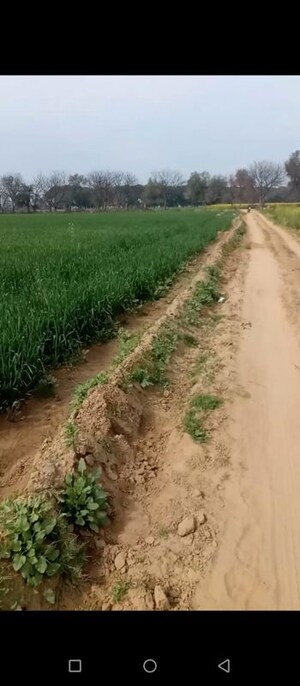 Plot Area in  Land at Pipli – for Sale