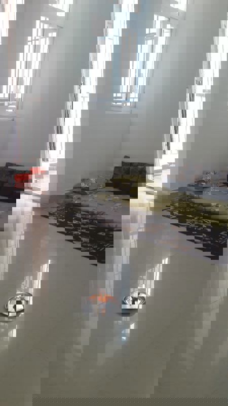 2 BHK + Pooja Room 1050 Sq.Ft. Apartment in SG Grand