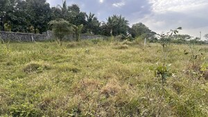 Plot Area in  Plot at Khambale – for Sale