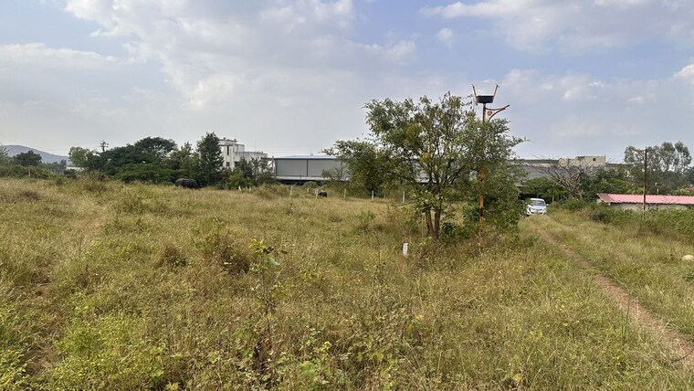 undefined, khambale  325 Sq.Yd. Plot In Khambale Nashik 10178775