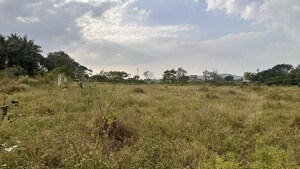 Plot Area in  Plot at Khambale – for Sale
