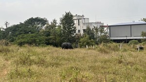 Plot Area in  Plot at Khambale – for Sale