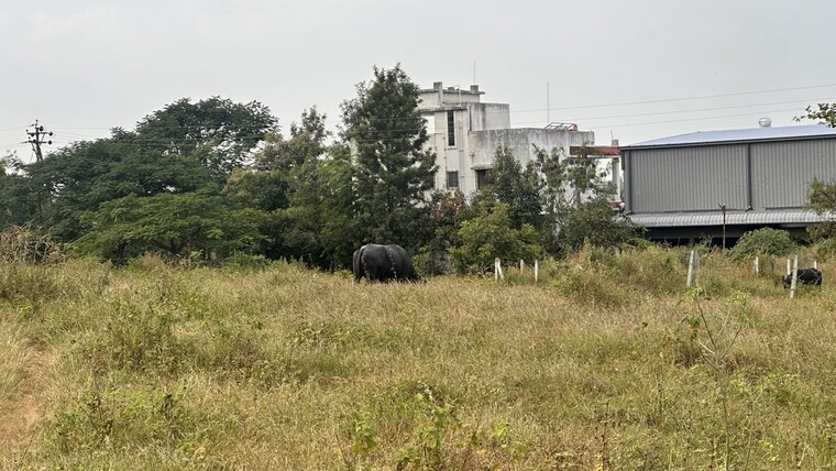 undefined, khambale  325 Sq.Yd. Plot In Khambale Nashik 10178775