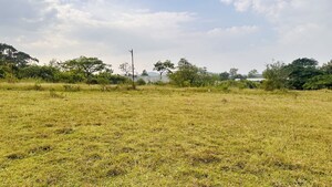 Plot Area in  Plot at Khambale – for Sale