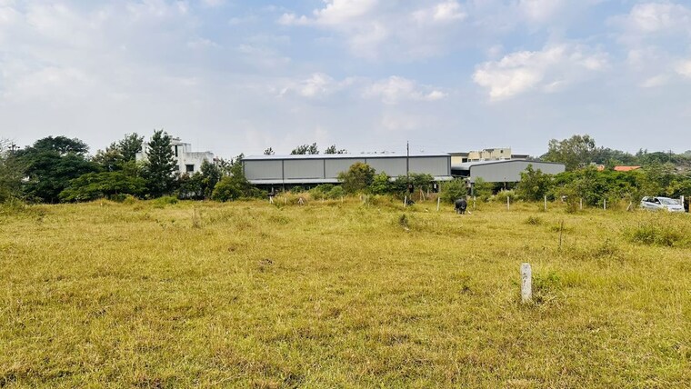 undefined, khambale  325 Sq.Yd. Plot In Khambale Nashik 10178775