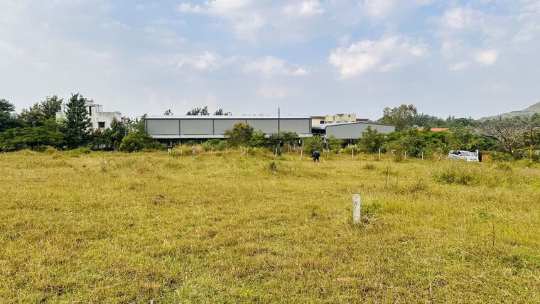 undefined, khambale  325 Sq.Yd. Plot In Khambale Nashik 10178775