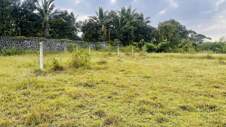 Garden, khambale  325 Sq.Yd. Plot In Khambale Nashik 10178775