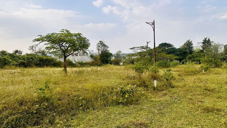 undefined, khambale  325 Sq.Yd. Plot In Khambale Nashik 10178775