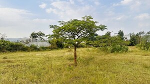 Plot Area in  Plot at Khambale – for Sale