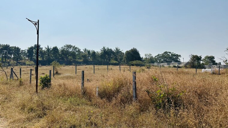 undefined, khambale  325 Sq.Yd. Plot In Khambale Nashik 10178775