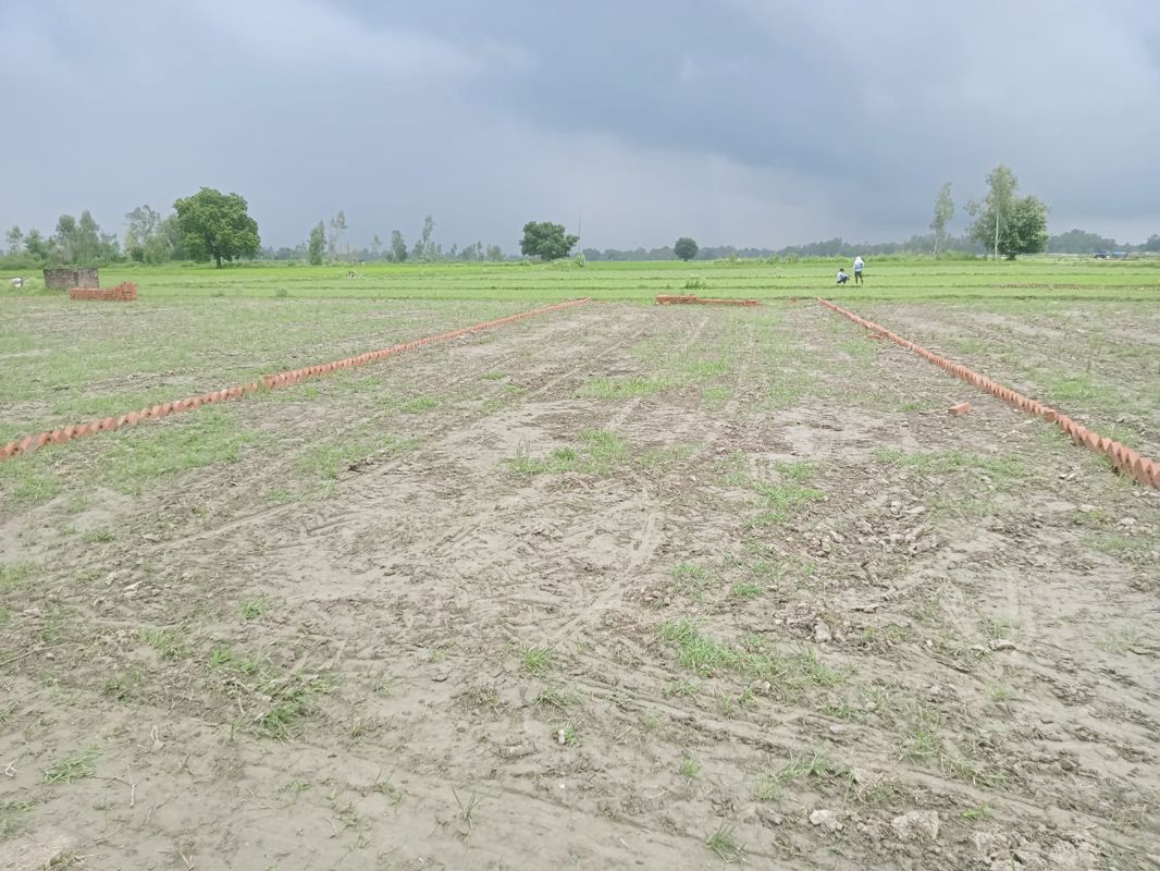 Plot For Sale in Bhogpur