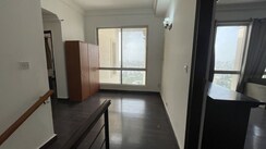 5 BHK Penthouse For Sale in DLF Regency Park II