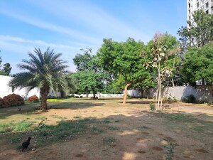 Plot Area in  Plot at Budigere Cross – for Sale