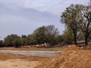 Plot Area in  Plot at Asola – for Sale