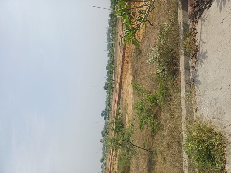 Garden, jewar  100 Sq.Yd. Plot In Jewar Greater Noida 10180347