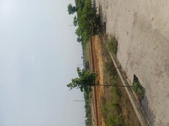 Plot For Sale in Jewar