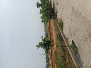  Plot For Sale in Jewar