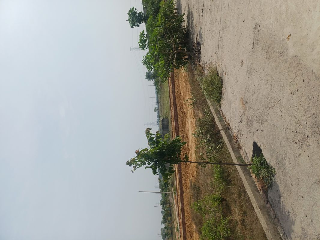 Plot For Sale in Jewar