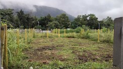 Plot For Sale in Jui