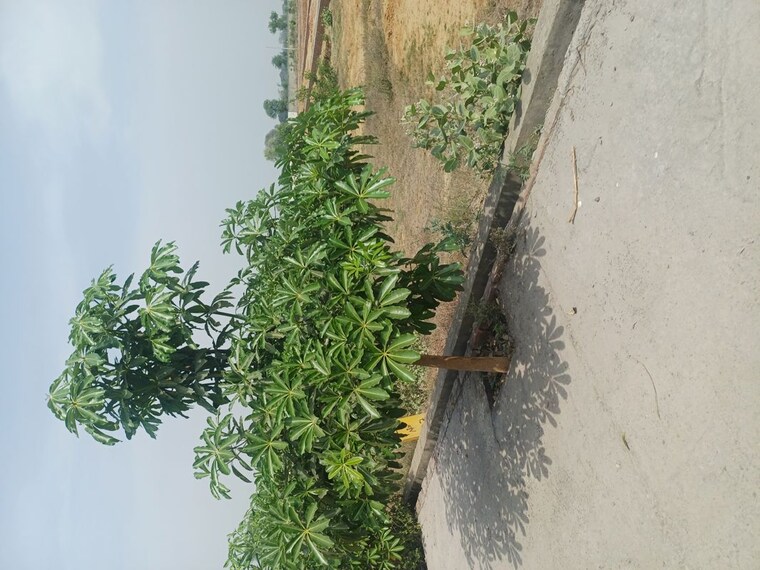 Exterior View, jewar  105 Sq.Yd. Plot In Jewar Greater Noida 10180360