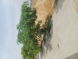  Plot – Exterior View View at Jewar - for Sale