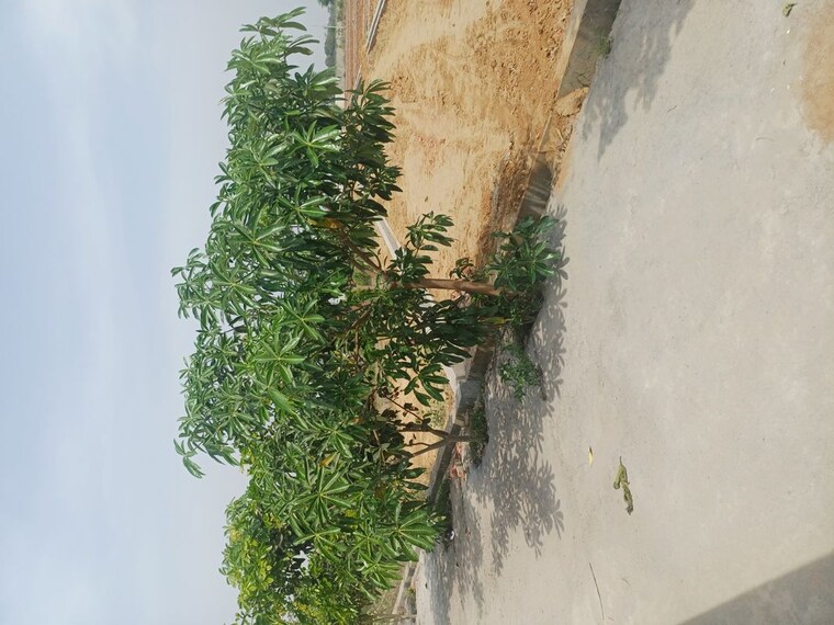 Exterior View, jewar  105 Sq.Yd. Plot In Jewar Greater Noida 10180360