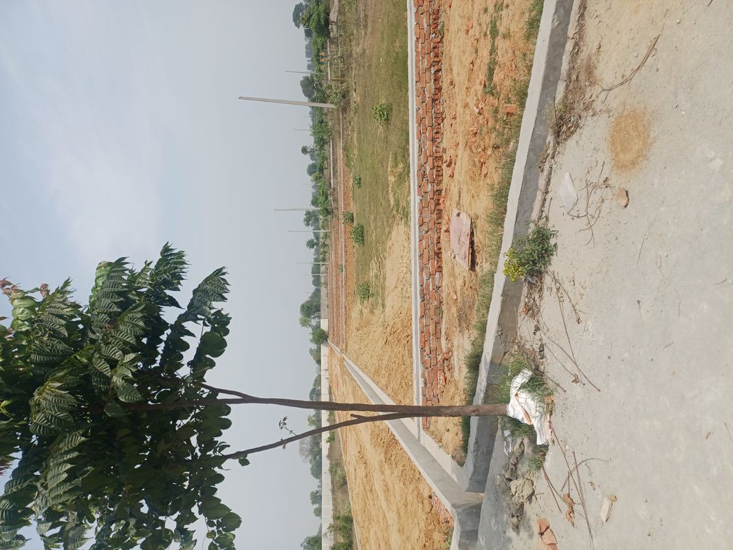 Plot For Sale in Jewar