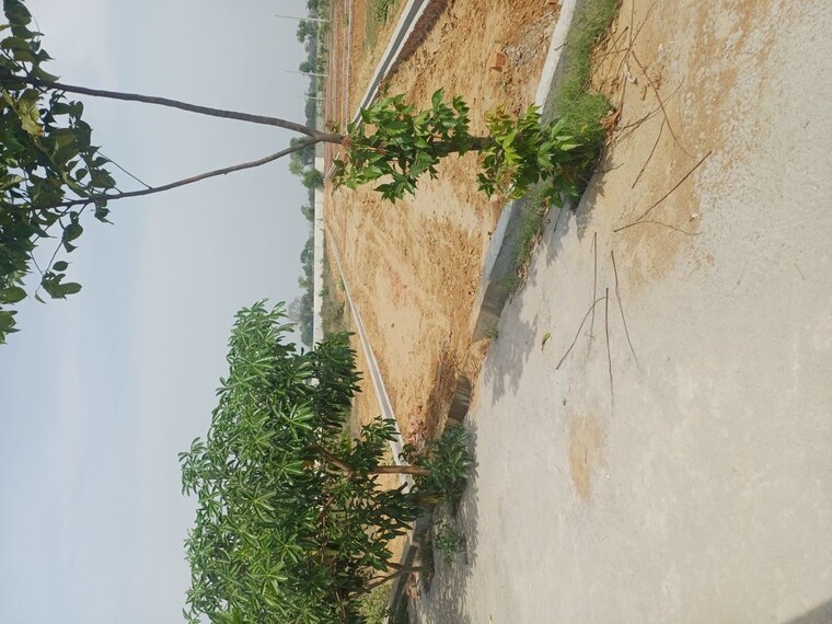 Garden, jewar  107 Sq.Yd. Plot In Jewar Greater Noida 10180432