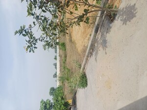 Plot Area in  Plot at Jewar – for Sale