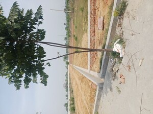  Plot For Sale in Jewar