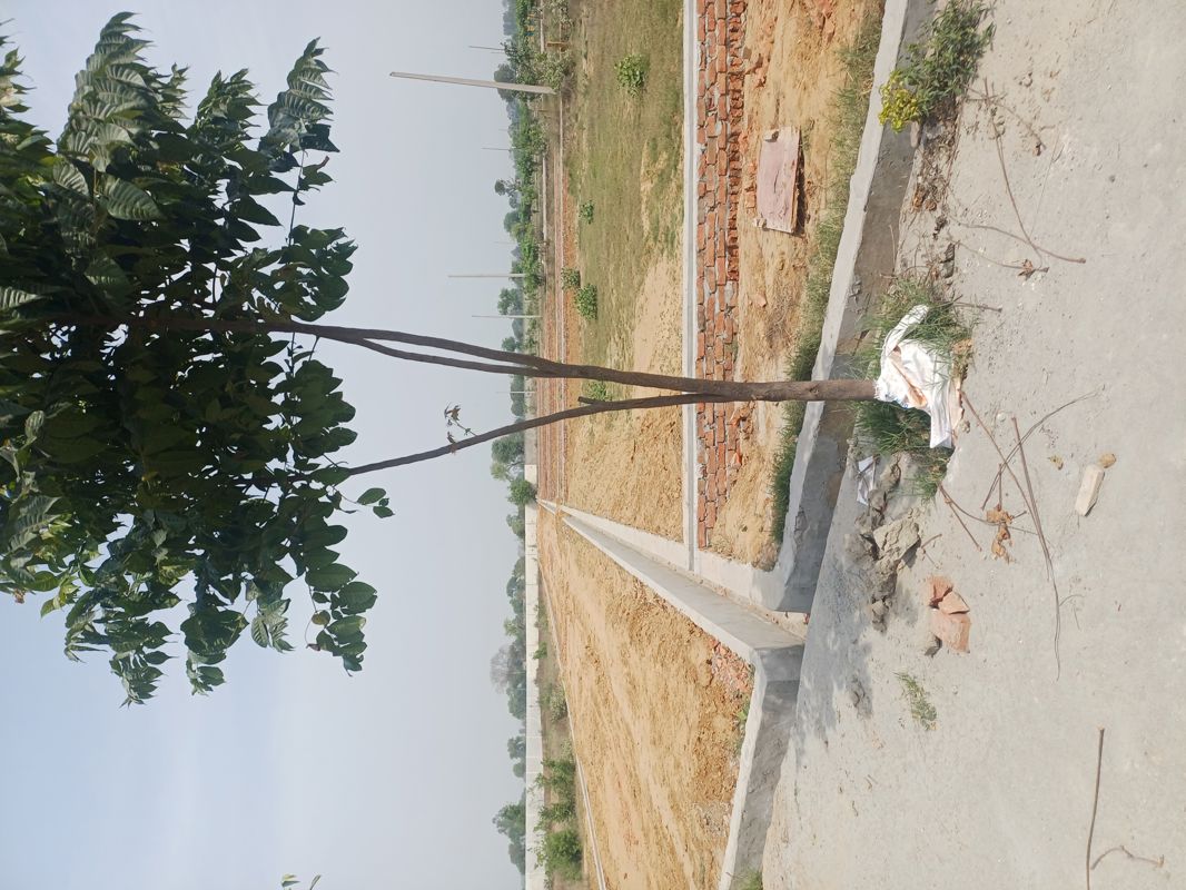 Plot For Sale in Jewar