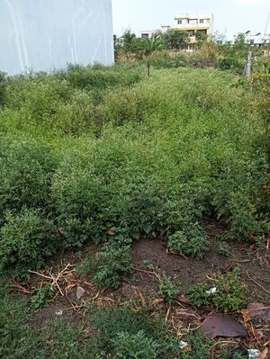  Plot For Sale in Fasttrack Heavens Life, Katara Hills