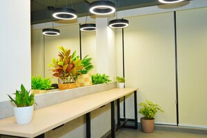 Floor Plan in  Office Space at Paschim Vihar – for Rent