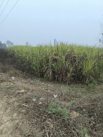 2 Acre Land in kanth road