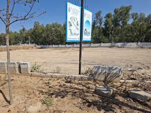  Plot For Sale in Jaisinghpura