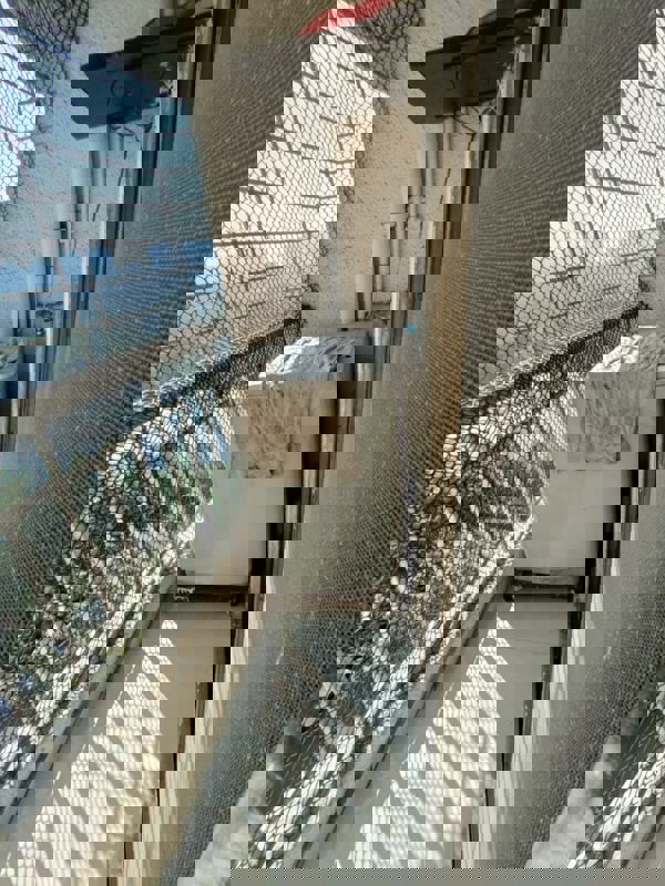 3 BHK Builder Floor For Rent in Sector 43