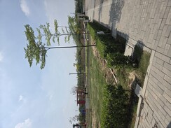 Plot For Sale in BPTP Parkland Pride Phase 2