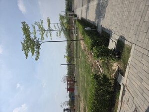  Plot For Sale in BPTP Parkland Pride Phase 2, Sector 77
