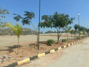 Plot Area in  Plot at Ramoji Film City – for Sale