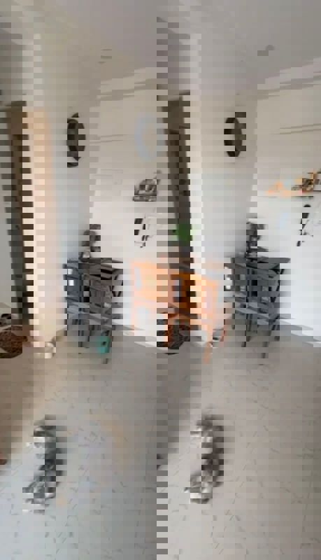 1 BHK 410 Sq.Ft. Apartment in JP Eminence