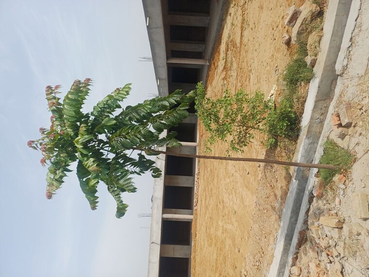 Exterior View, jewar  109 Sq.Yd. Plot In Jewar Greater Noida 10182604