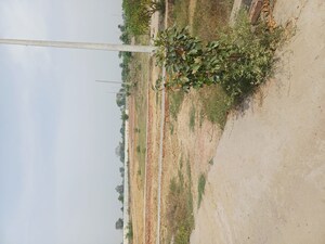  Plot – Exterior View View at Jewar - for Sale