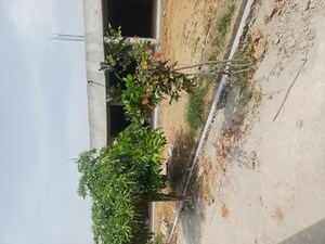  Plot – Exterior View View at Jewar - for Sale