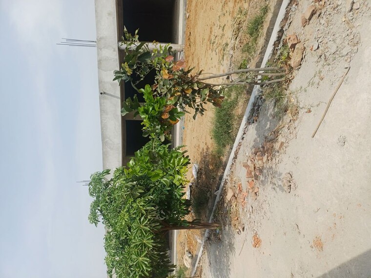 Exterior View, jewar  110 Sq.Yd. Plot In Jewar Greater Noida 10182626