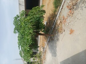  Plot – Exterior View View at Jewar - for Sale